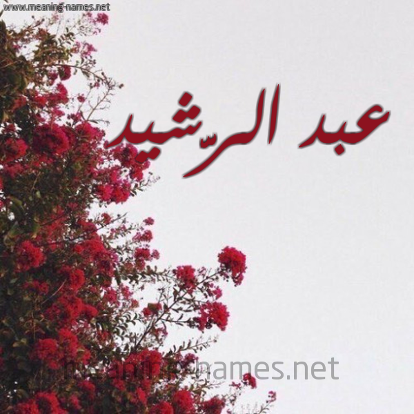 شكل 18 صوره الورد الأحمر للإسم بخط رقعة صورة اسم عبد الرَّشيد ABD-ALRASHID